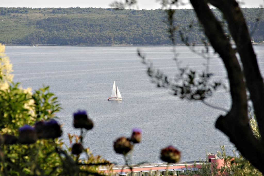 Apartment Rubin Piran Exterior photo